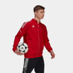 Олимпийка мужская adidas CON21 PRE JKT