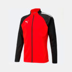 Олимпийка мужская Puma teamLIGA Training Jacket