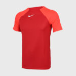 Футболка мужская Nike ACDPR SS TOP K