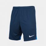 Шорты мужские Nike M NK DF ACDPR SHORT K