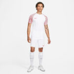 Футболка мужская Nike M NK DF ACADEMY JSY SS