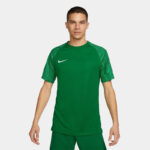 Футболка мужская Nike M NK DF ACADEMY JSY SS