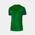 Футболка мужская Nike M NK DF TROPHY V JSY SS