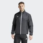 Зимняя куртка мужская adidas Entrada 22