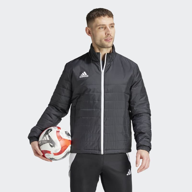 Зимняя куртка мужская adidas Entrada 22