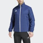 Зимняя куртка мужская adidas Entrada 22