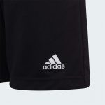 Шорты детские adidas ENT22 TR SHOY