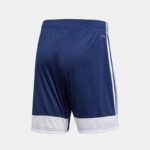 Шорты мужские adidas TASTIGO 19 SHORTS