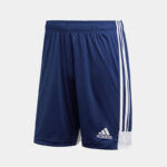 Шорты мужские adidas TASTIGO 19 SHORTS