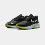 Кроссовки мужские Nike AIR ZOOM PEGASUS 39 SHIELD