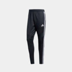 Брюки мужские adidas TIRO19 PNT