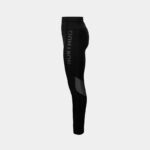 Лосины мужские Northug Lake Placid tech Tights