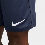 Шорты мужские Nike M NK DF PARK20 SHORT KZ