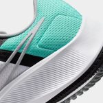 Кроссовки Nike Nike AIR ZOOM PEGASUS 38