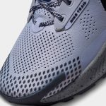 Кроссовки Nike PEGASUS TRAIL 3