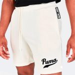 Шорты мужские Puma Team Shorts 8" TR