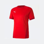 Футболка мужская Puma teamGOAL 23 Jersey