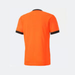 Футболка мужская Puma teamGOAL 23 Jersey