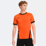 Футболка мужская Puma teamGOAL 23 Jersey