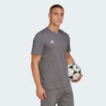 Футболка мужская adidas Ent22 Tee