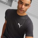 Футболка мужская Puma EVOSTRIPE Tee