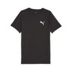 Футболка мужская Puma EVOSTRIPE Tee