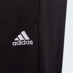 Брюки детские adidas ENT22 TR PNT Y