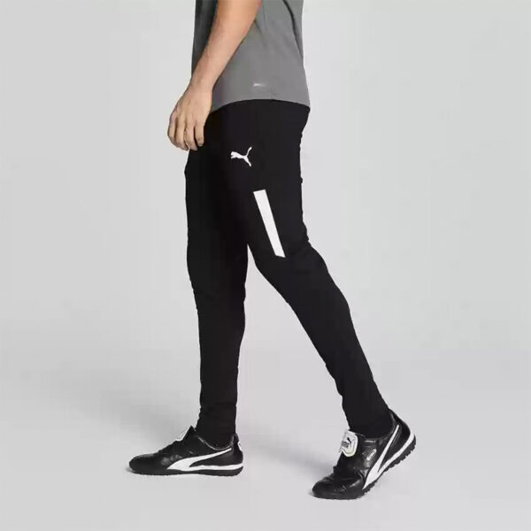 Брюки мужские Puma teamLIGA Training Pants Pro