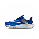 Кроссовки мужские NIKE AIR ZOOM PEGASUS FLYEASE