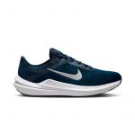 Кроссовки мужские Nike AIR WINFLO 10