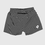 Шорты мужские Saysky Stripe Pace Shorts 5