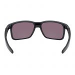 Очки Oakley PORTAL X