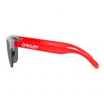 Очки Oakley FROGSKINS LITE