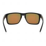 Очки Oakley HOLBROOK XL