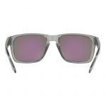 Очки Oakley HOLBROOK XL