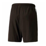 Шорты мужские Puma teamLIGA Sideline Shorts