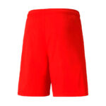 Шорты мужские Puma teamLIGA Shorts