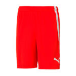 Шорты мужские Puma teamLIGA Shorts