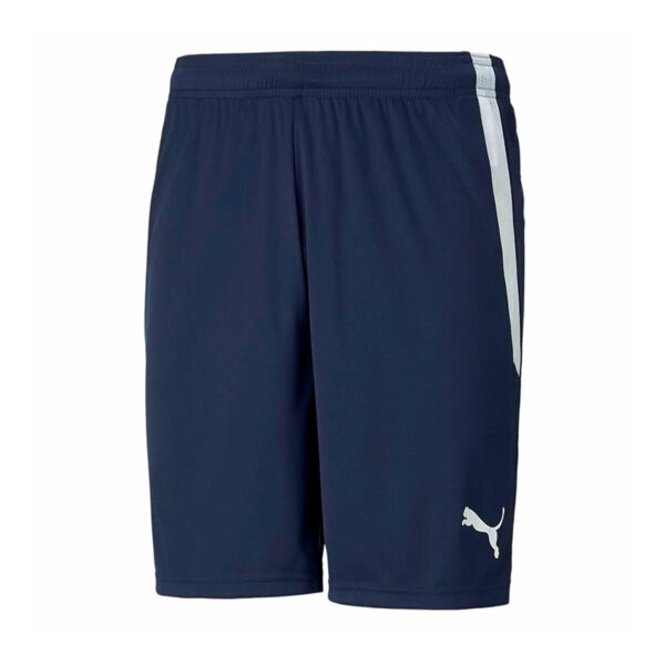 Шорты мужские Puma teamLIGA Shorts