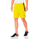 Шорты мужские Puma teamLIGA Shorts