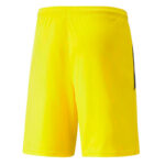 Шорты мужские Puma teamLIGA Shorts