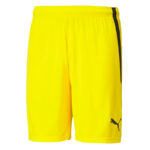 Шорты мужские Puma teamLIGA Shorts