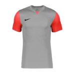 Футболка мужская Nike M NK DF TROPHY V JSY SS