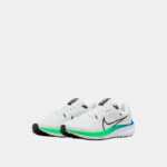 Кроссовки мужские Nike AIR ZOOM PEGASUS 40