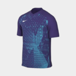 Футболка мужская Nike M NK DF PRCSN VI JSY SS