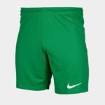 Шорты детские Nike Y NK DF PARK III SHORT NB K