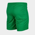 Шорты детские Nike Y NK DF PARK III SHORT NB K