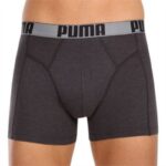 Нижнее белье мужское Puma MEN NEW POUCH 2P