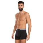 Нижнее белье мужское Puma MEN NEW POUCH 2P