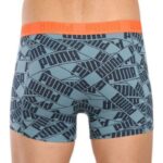 Нижнее белье мужское Puma MEN PRINT BOXER 2P